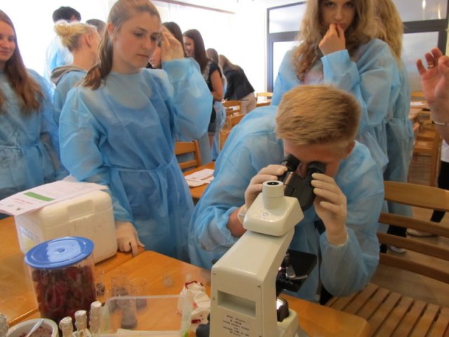 Warsztaty mikrobiologii środowiskowej